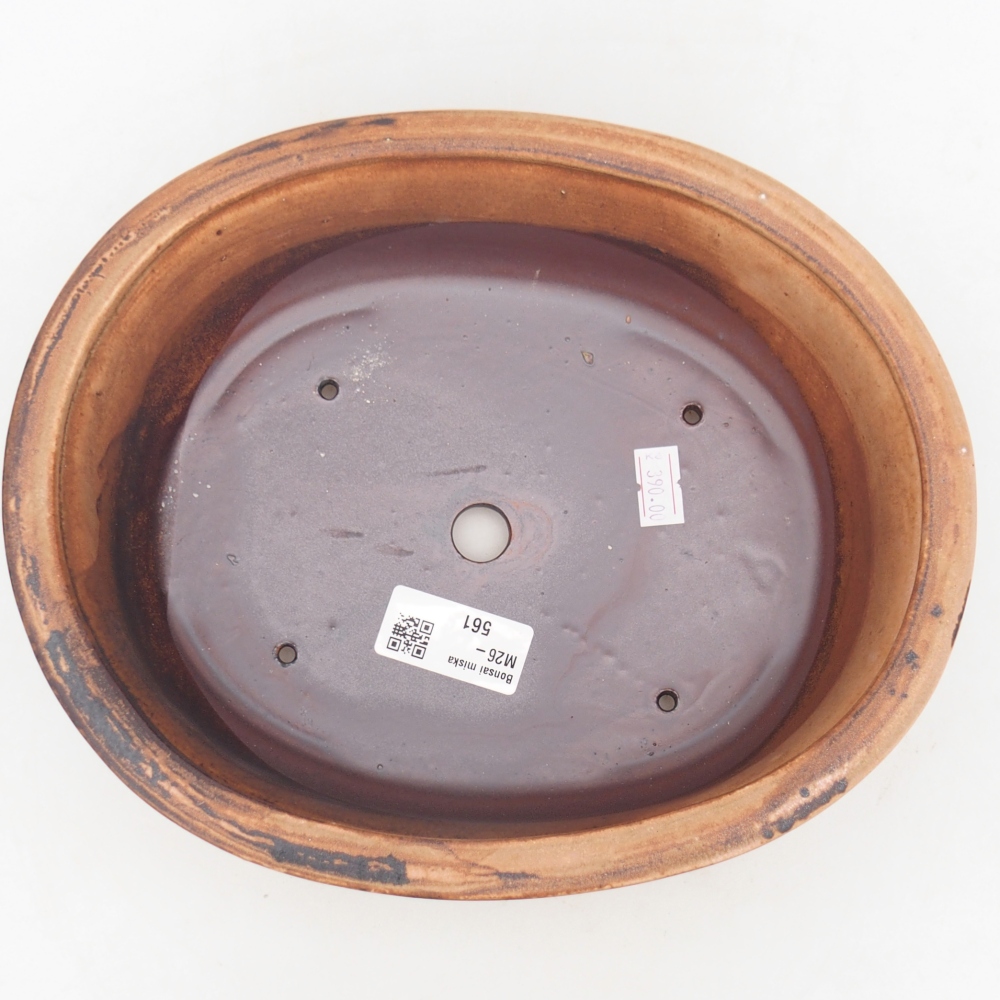 Ciotola bonsai in ceramica 23 x 19 x 7 cm, rosa