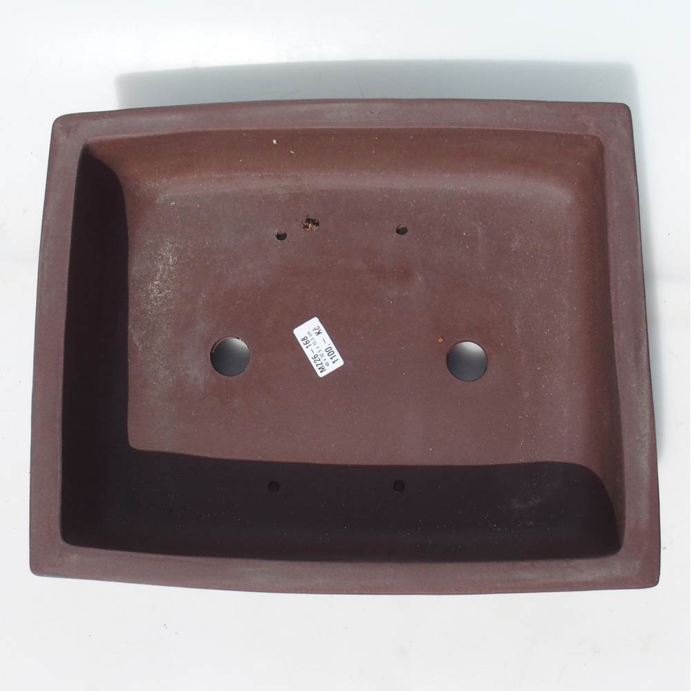 Ciotola bonsai 40 x 32,5 x 10,5 cm betulla marrone