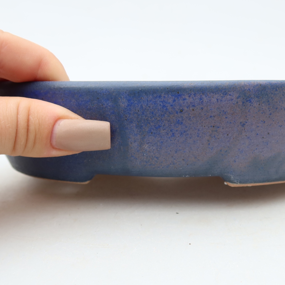 Vaso da bonsai in ceramica 17 x 14 x 4 cm, colore blu