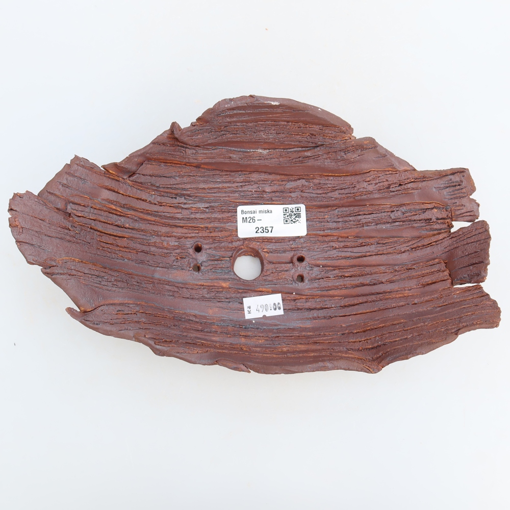 Guscio in ceramica  24,5 x 14,5 x 7,5 cm, colore marrone