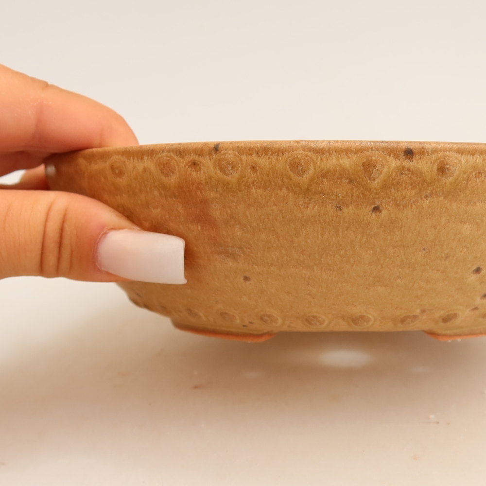 Vaso da bonsai in ceramica 17,5 x 17,5 x 4,5 cm, colore beige