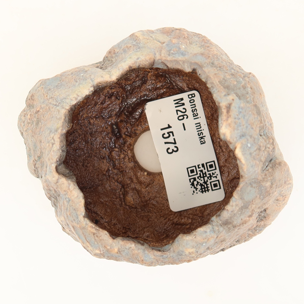 Guscio in ceramica  4,5 x 4 x 6 cm, colore blu