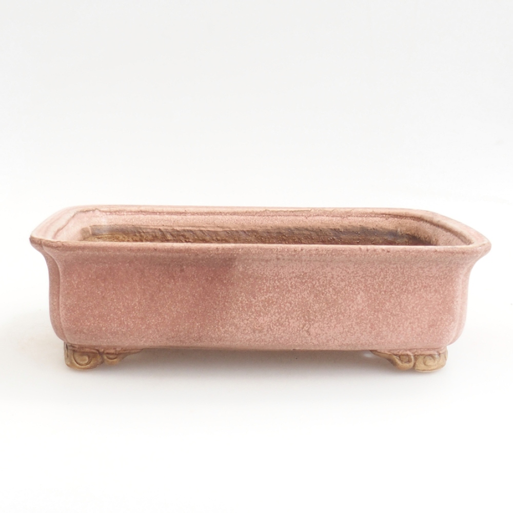 Ciotola bonsai in ceramica 24,5 x 19 x 7 cm, rosa