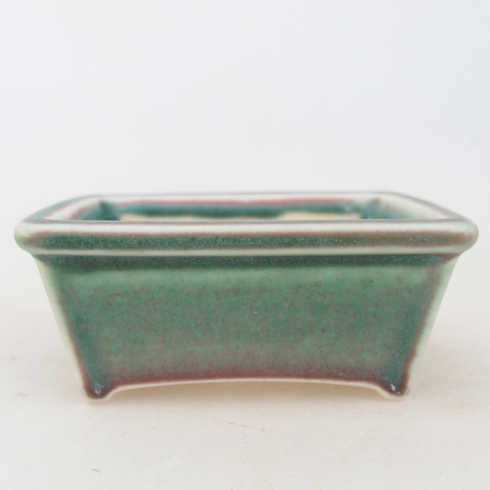 Mini bonsai 7,5 x 6 x 3 cm, verde