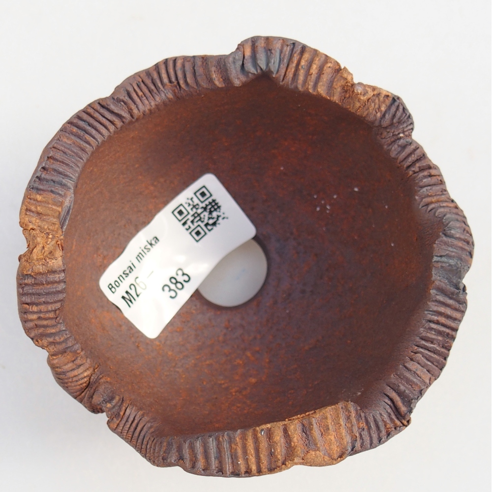 Conchiglia in ceramica 9 x 9 x 7 cm , colore marrone