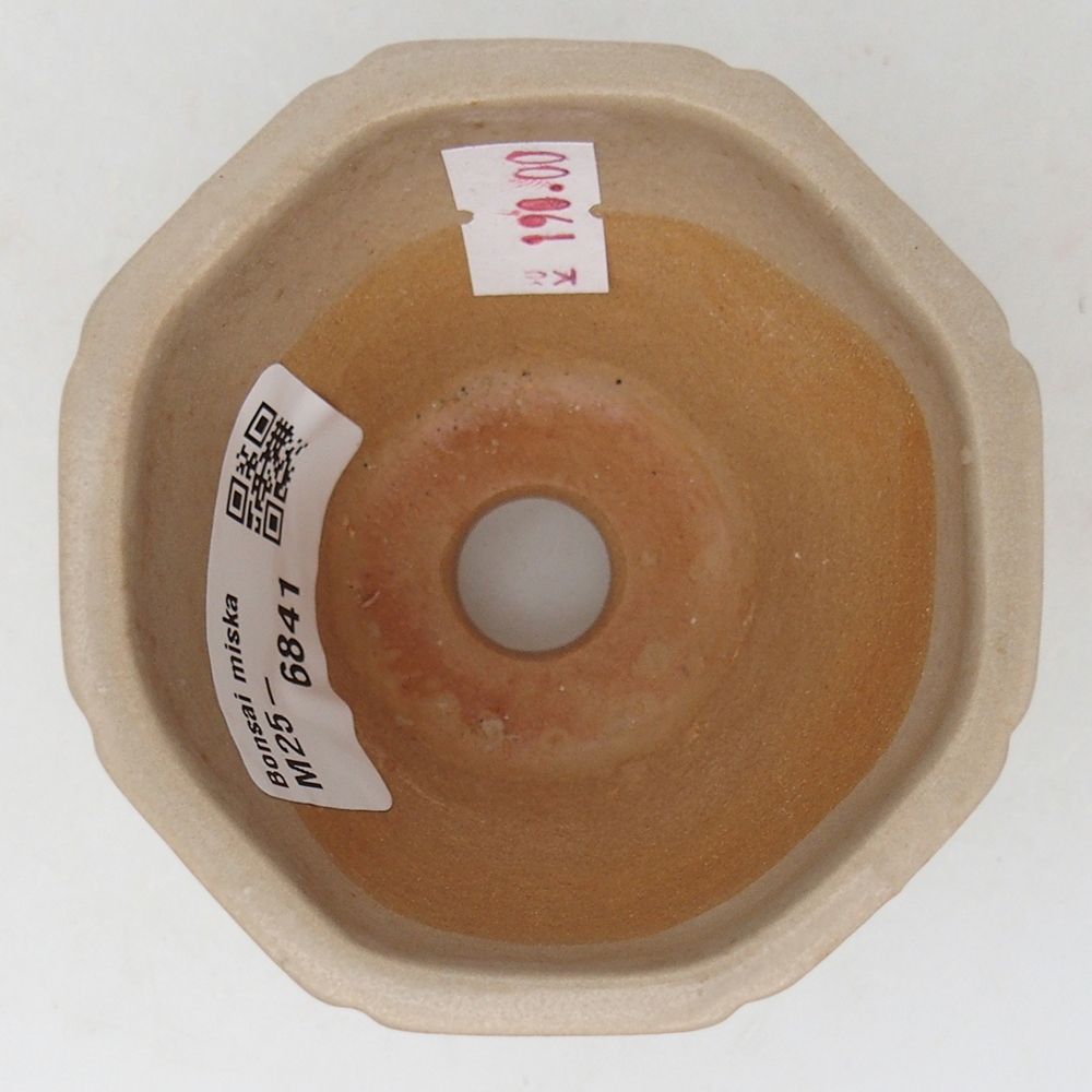 Ciotola per bonsai in ceramica 7,5 x 7,5 x 6 cm, colore beige