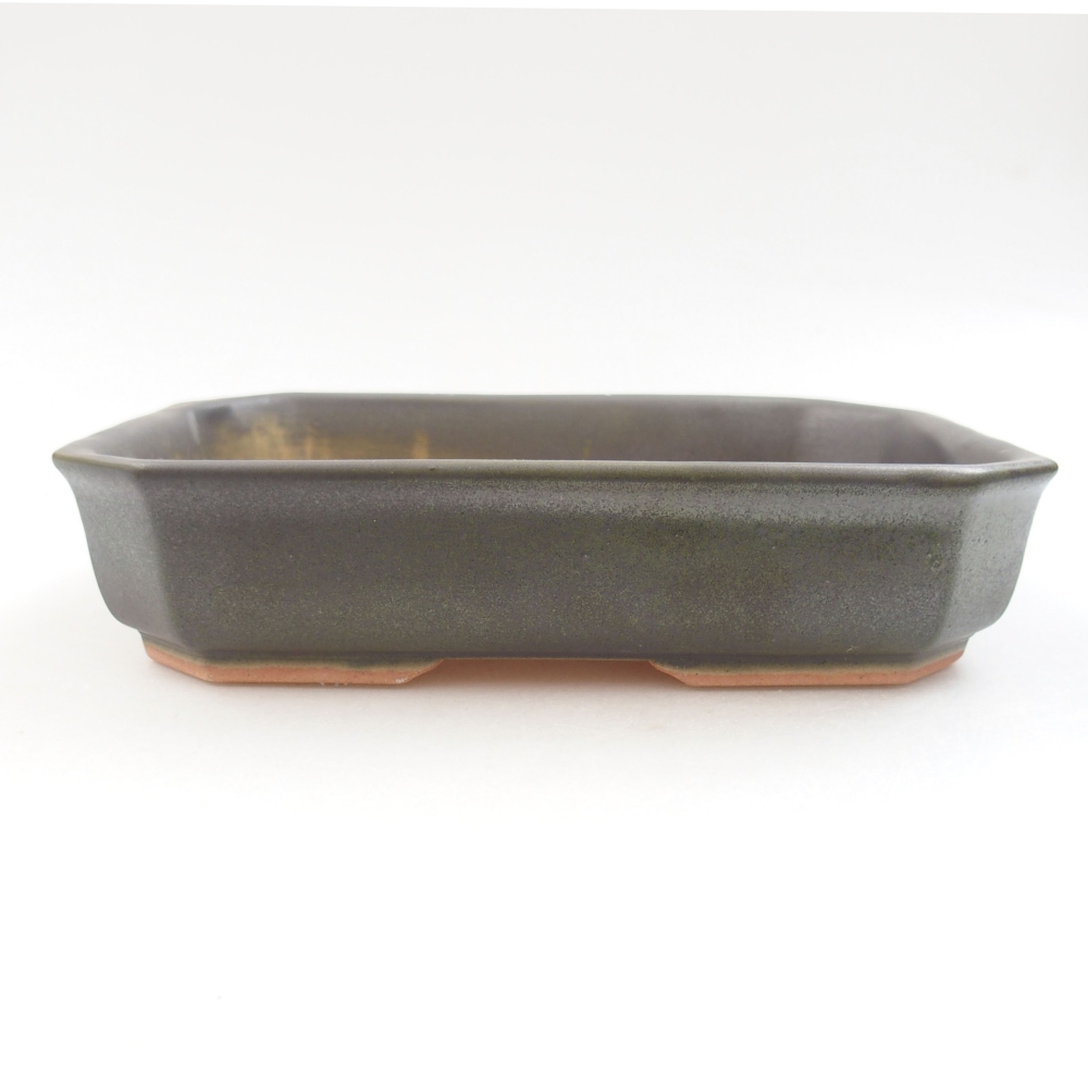 Ciotola bonsai in ceramica 22 x 17 x 5 cm, verde