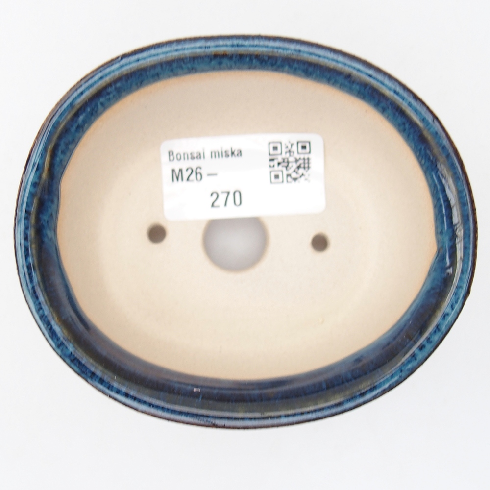 Mini bonsai 9,5 x 8 x 4,5 cm, colore blu