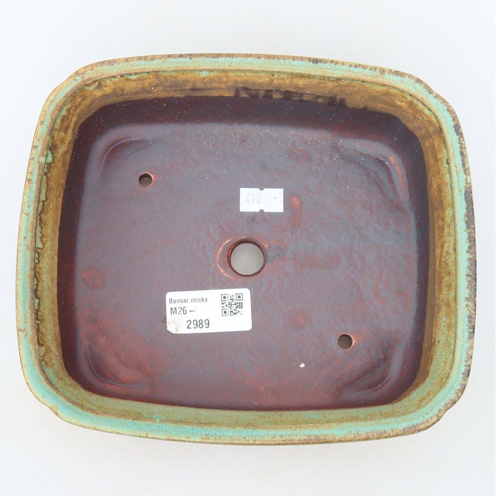 Vaso da bonsai in ceramica 20 x 17,5 x 6 cm, colore verde