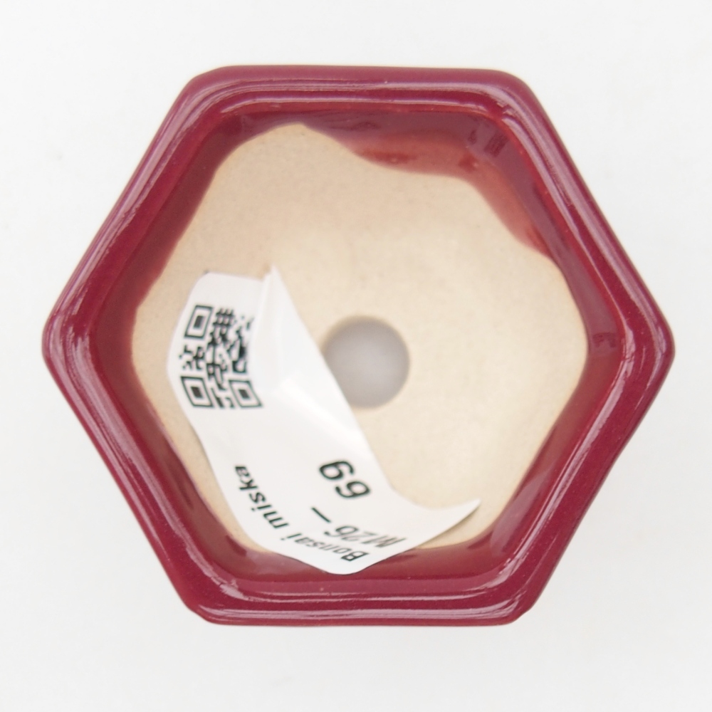 Ciotola mini bonsai 5 x 4,5 x 3 cm, bordeaux