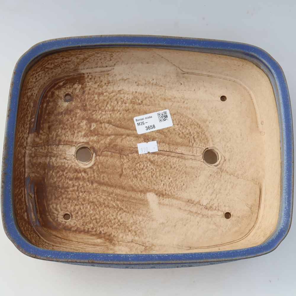 Vaso in ceramica per bonsai 29 x 23 x 7 cm, colore blu