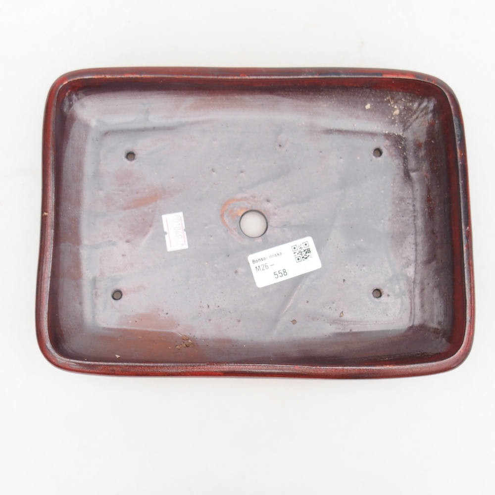 Ciotola per bonsai in ceramica 24 x 17,5 x 4 cm, colore rosso