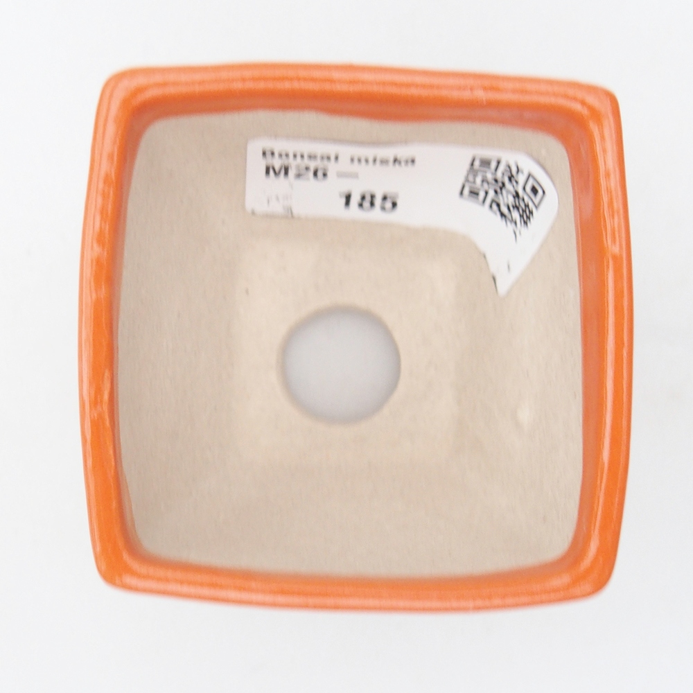 Ciotola per mini bonsai 5,5 x 5,5 x 4,5 cm, arancione