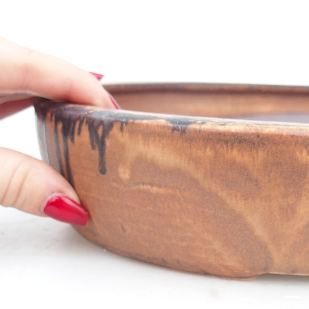 Ciotola bonsai in ceramica 27 x 21 x 5 cm, rosa