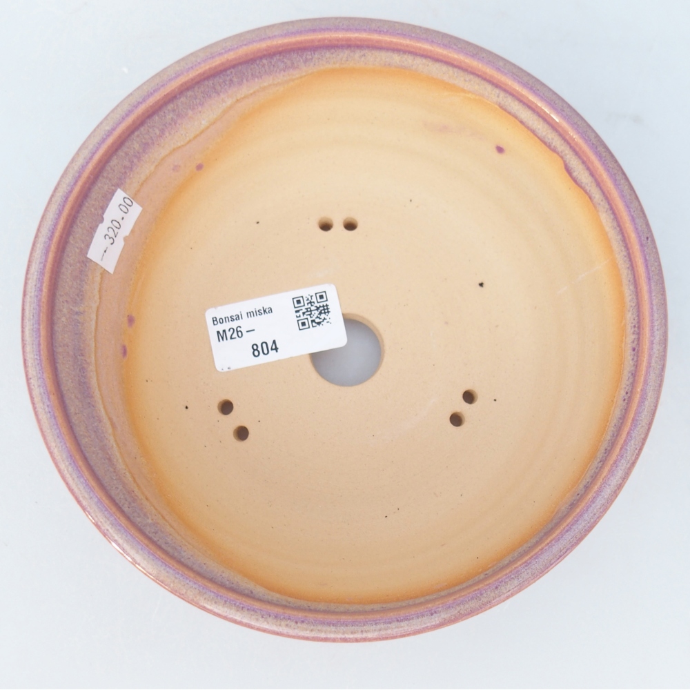 Ciotola per bonsai in ceramica 16,5 x 16,5 x 5,5 cm, colore viola