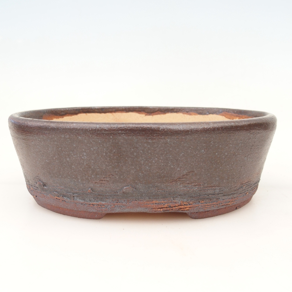 Ciotola per bonsai 20 x 16 x 6 cm , colore marrone