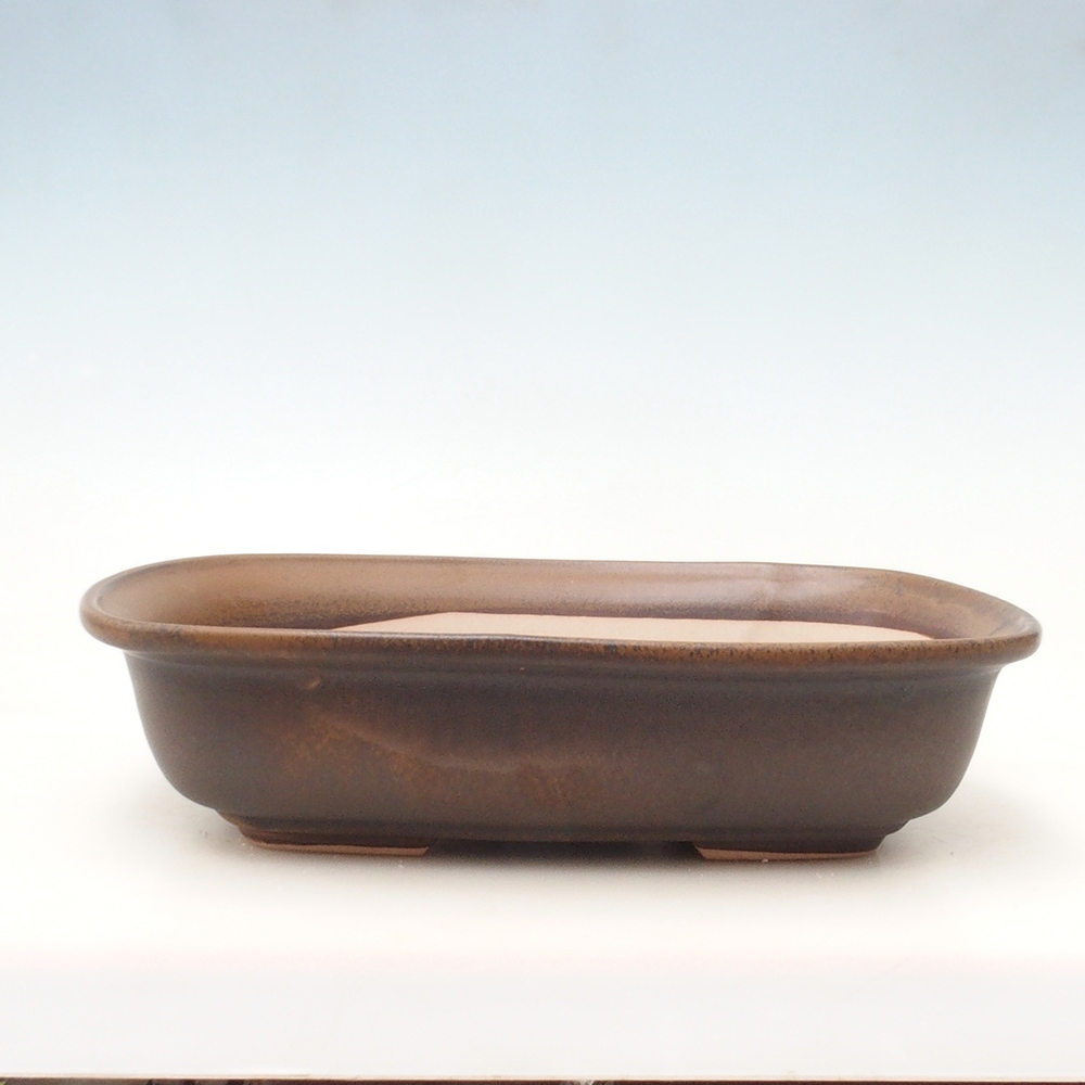 Ciotola bonsai + piattino H10 - 37 x 28 x 9 cm - marrone