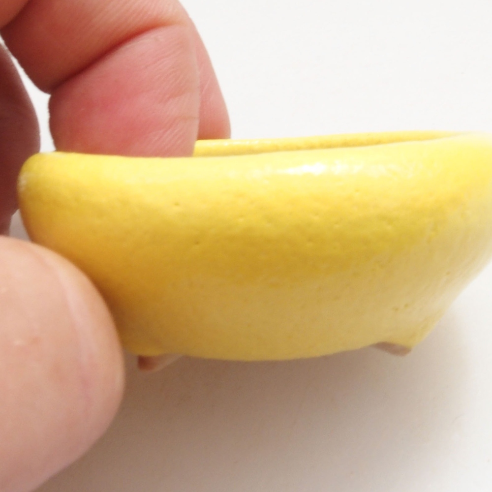 Ciotola bonsai in ceramica 5 x 5 x 2 cm, giallo