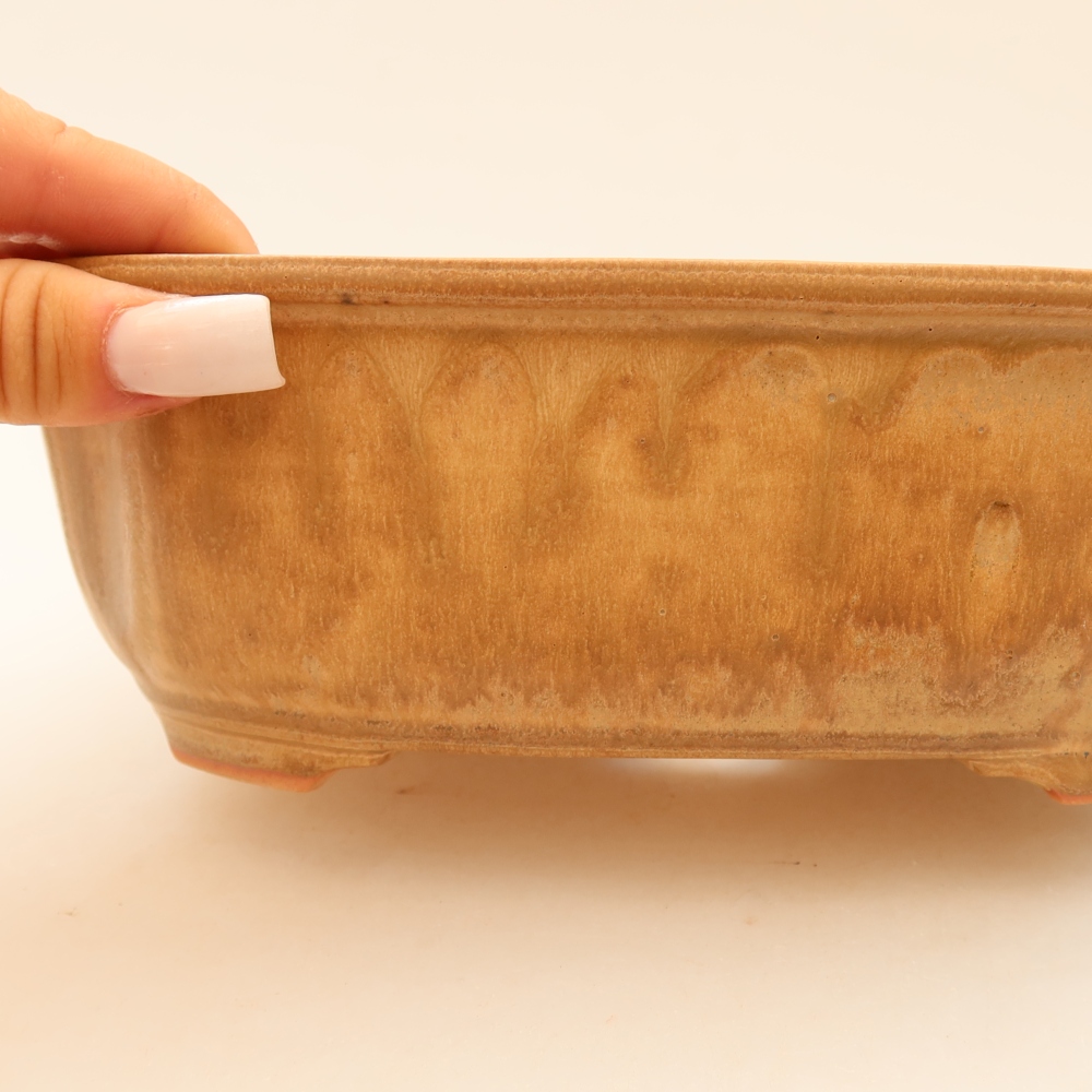 Ciotola bonsai in ceramica 22,5 x 17,5 x 7,5 cm, colore beige