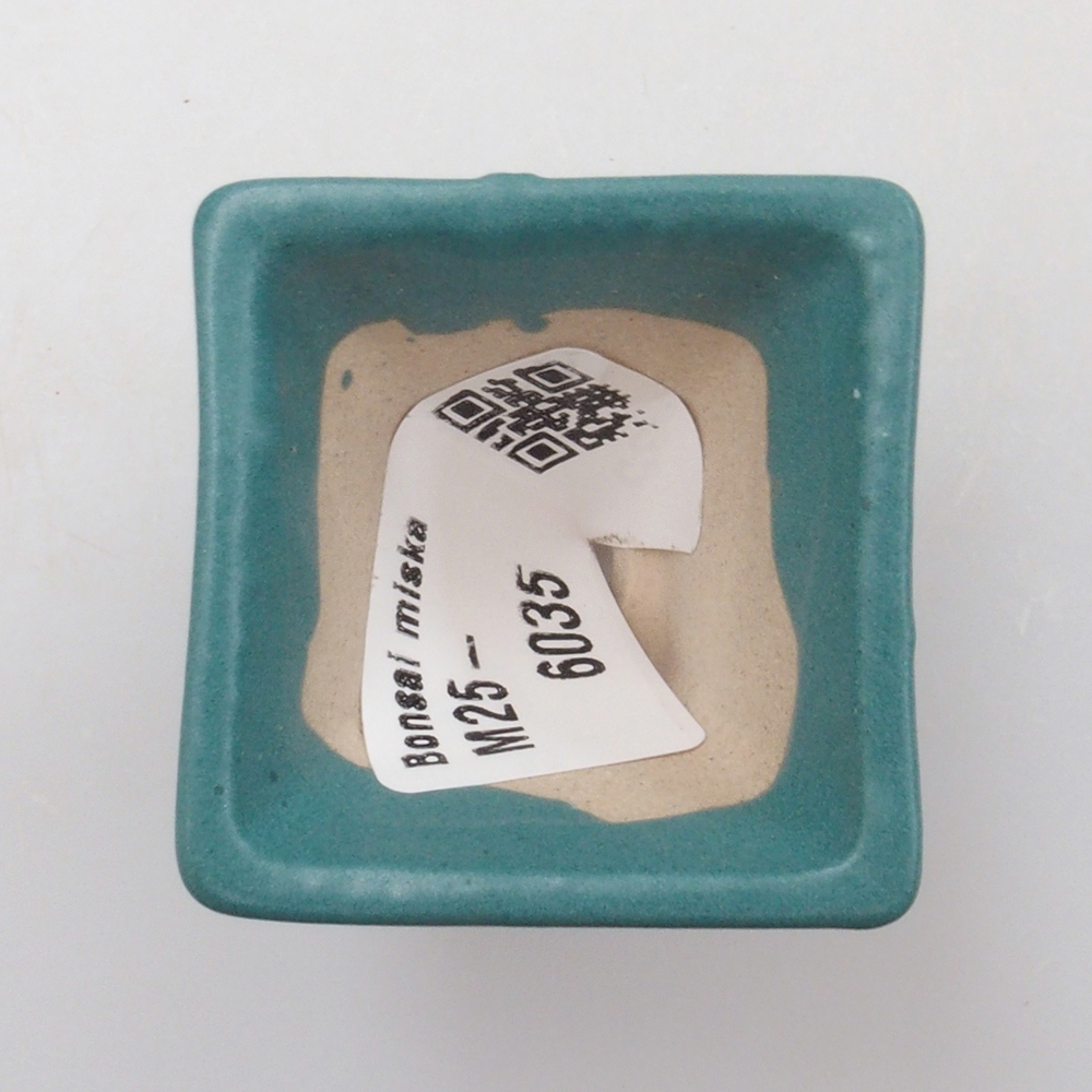 Ciotola bonsai in ceramica 6,5 x 5,5 x 4 cm, colore blu