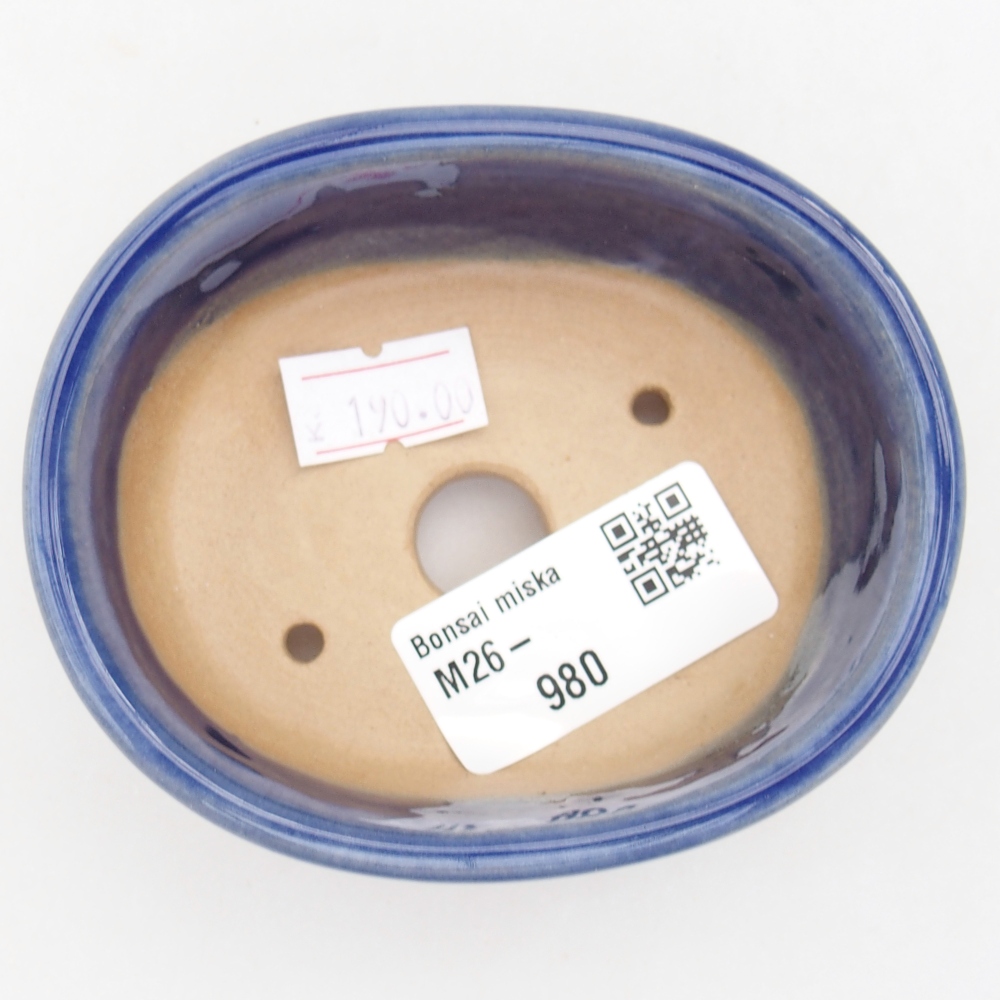 Ciotola bonsai in ceramica 9 x 7,5 x 3,5 cm, colore blu