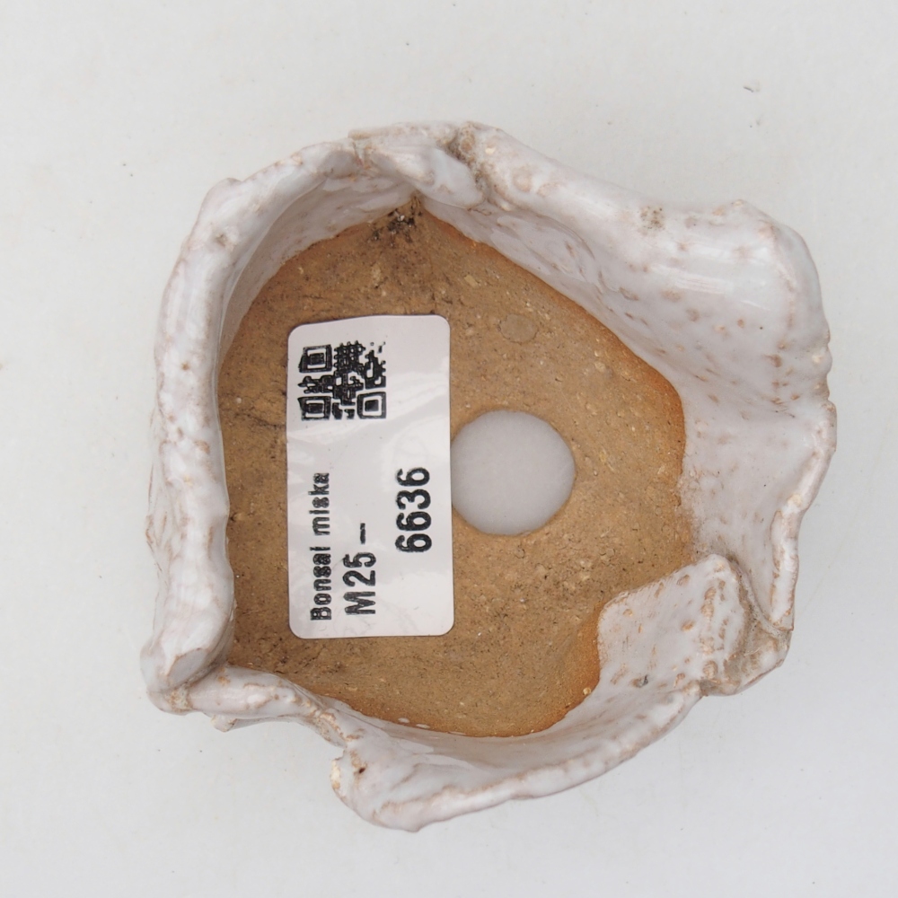 Conchiglia in ceramica 8 x 7 x 4,5 cm , colore bianco