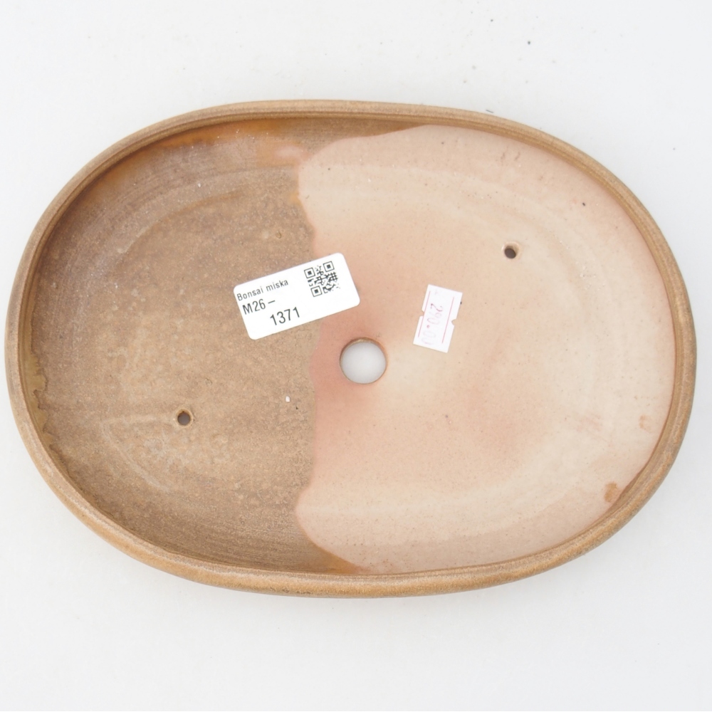 Ciotola per bonsai in ceramica 22,5 x 16,5 x 3 cm, colore beige