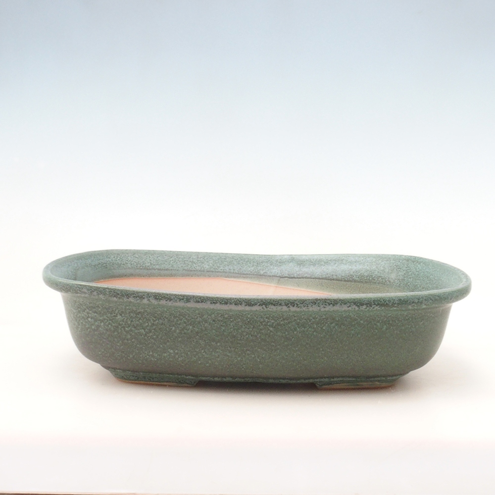Ciotola per bonsai H10 - 37 x 28 x 9 cm - verde