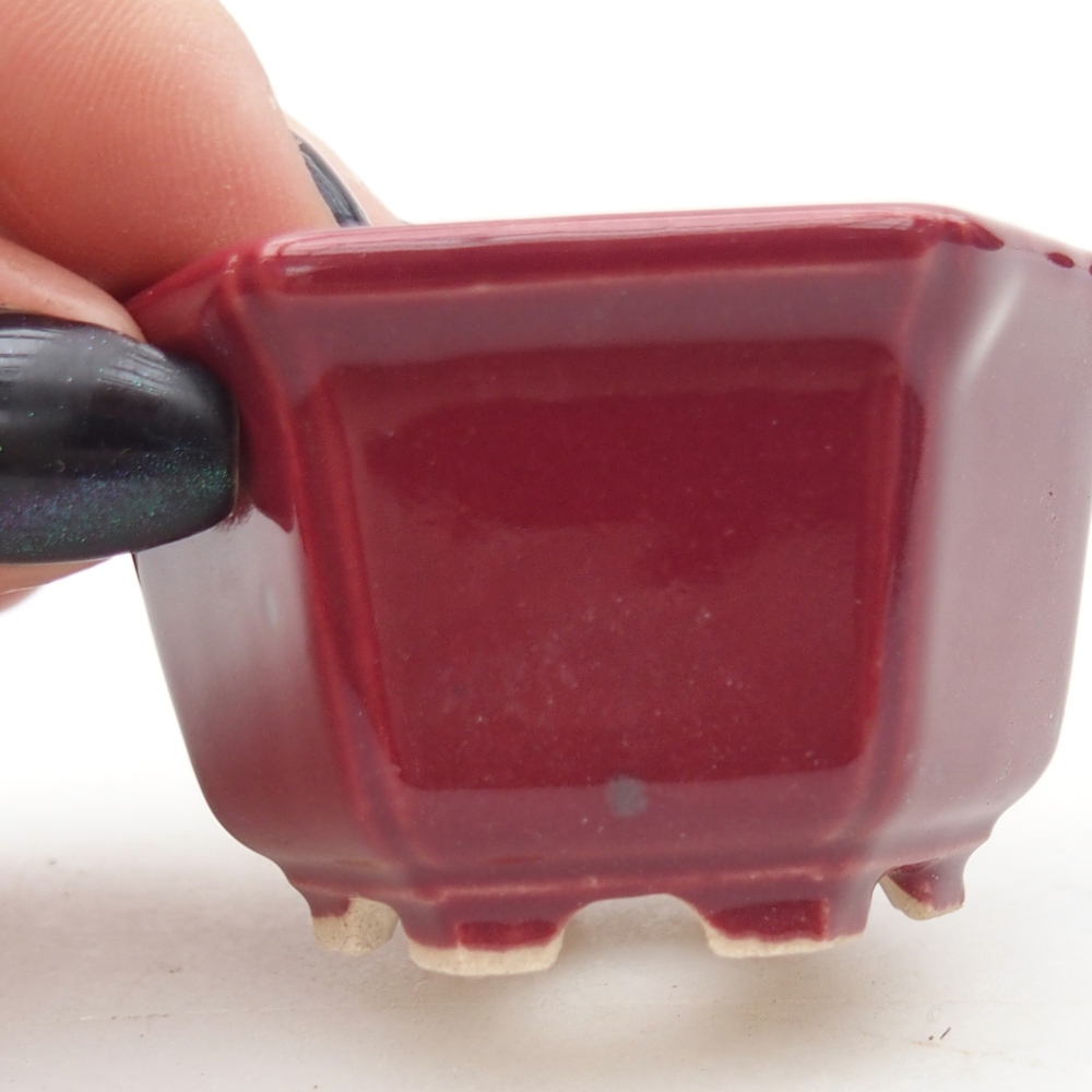 Ciotola mini bonsai 5 x 4,5 x 3 cm, bordeaux