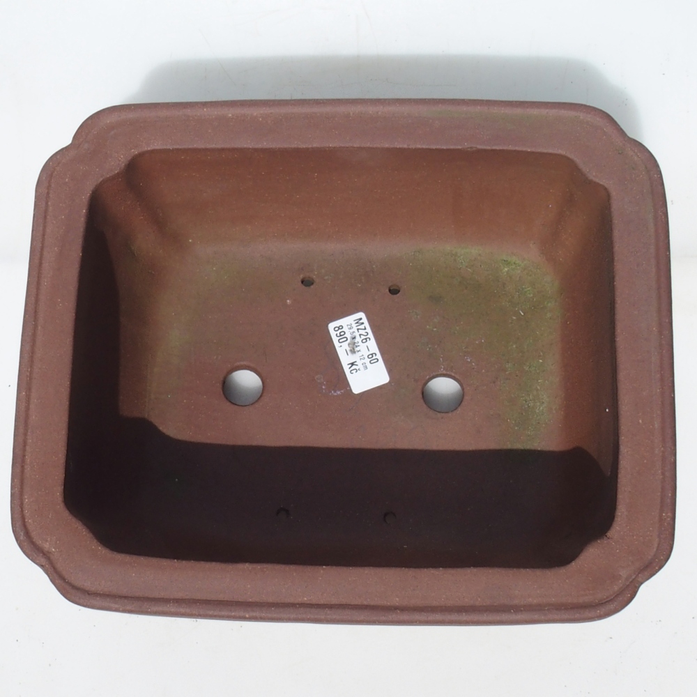 Ciotola per bonsai 29,5 x 24 x 12 cm