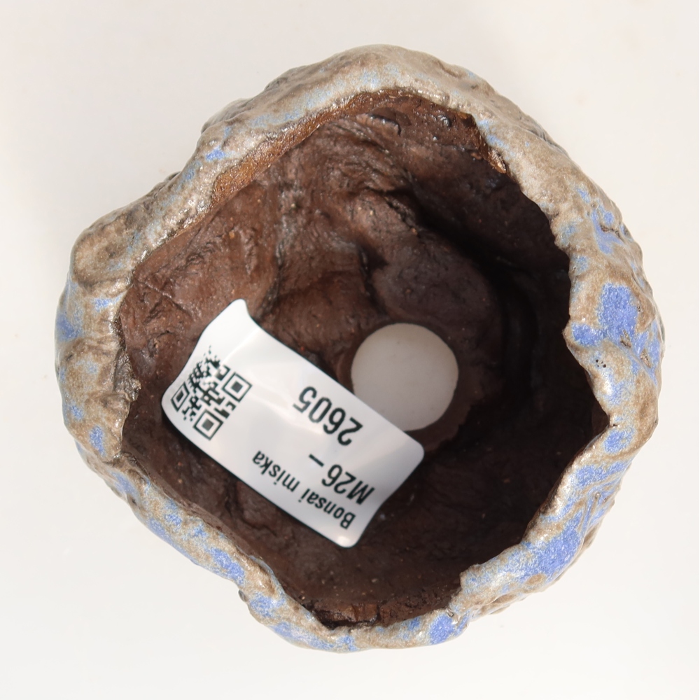 Guscio in ceramica  7 x 7 x 5 cm, colore blu-marrone