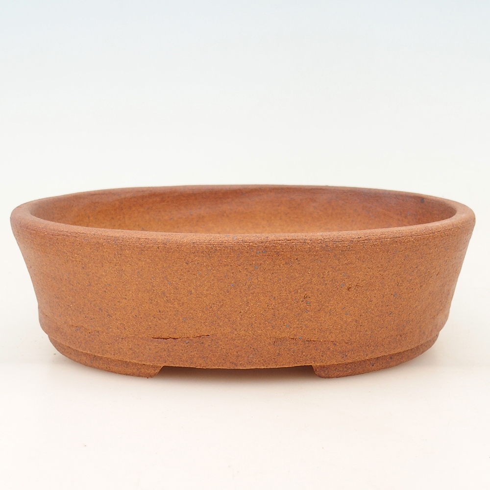 Ciotola per bonsai 20 x 16 x 6 cm , colore marrone