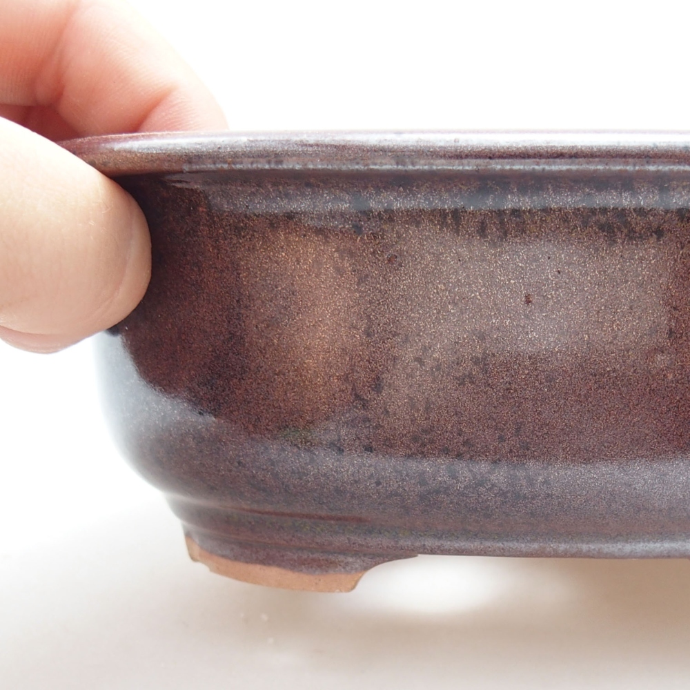 Ciotola bonsai in ceramica 22 x 17 x 5 cm, verde