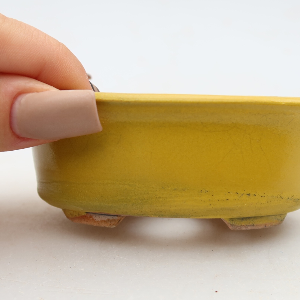 Vaso da bonsai in ceramica 9,5 x 6,5 x 3 cm, colore giallo