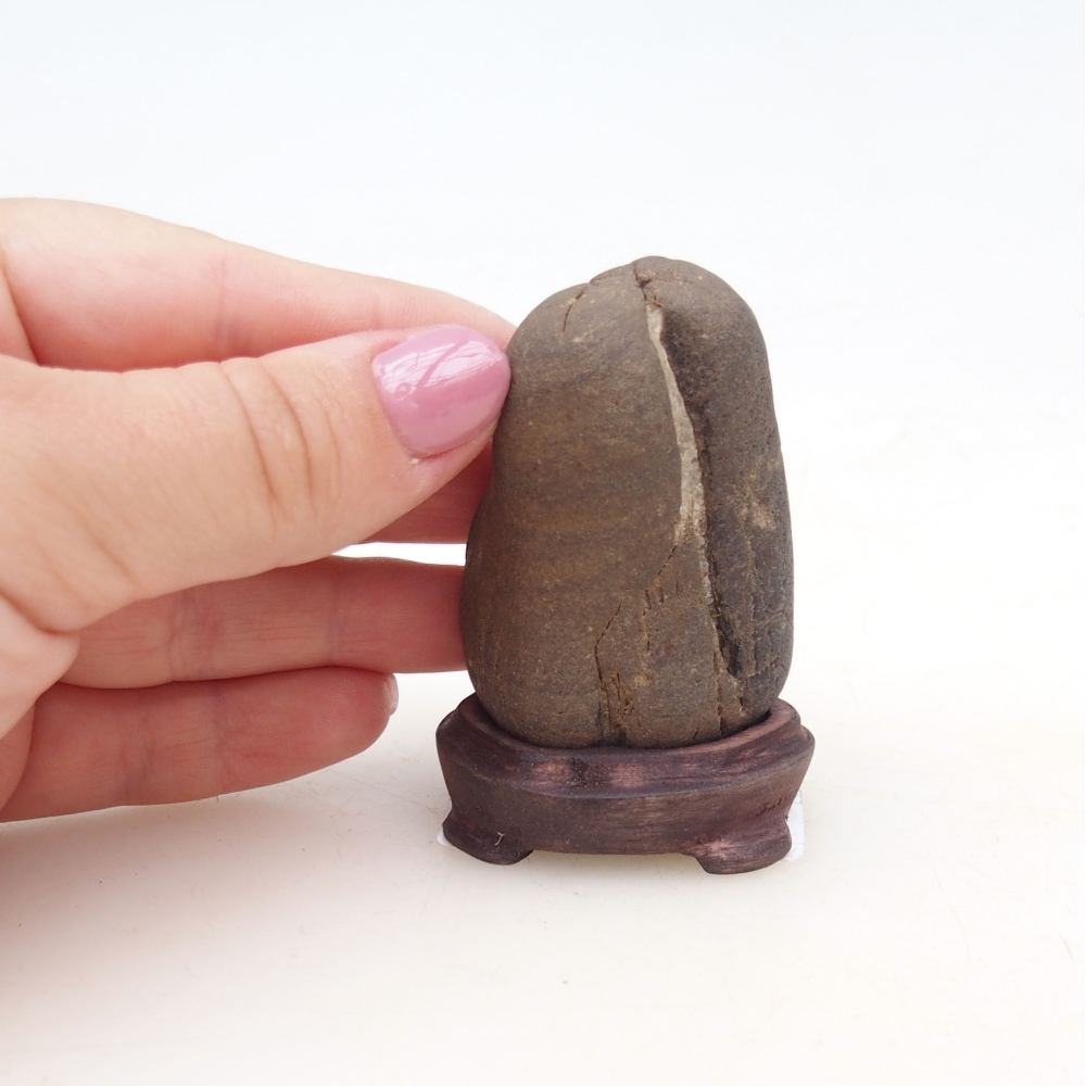 Suiseki - Pietra con DAI (base in legno)