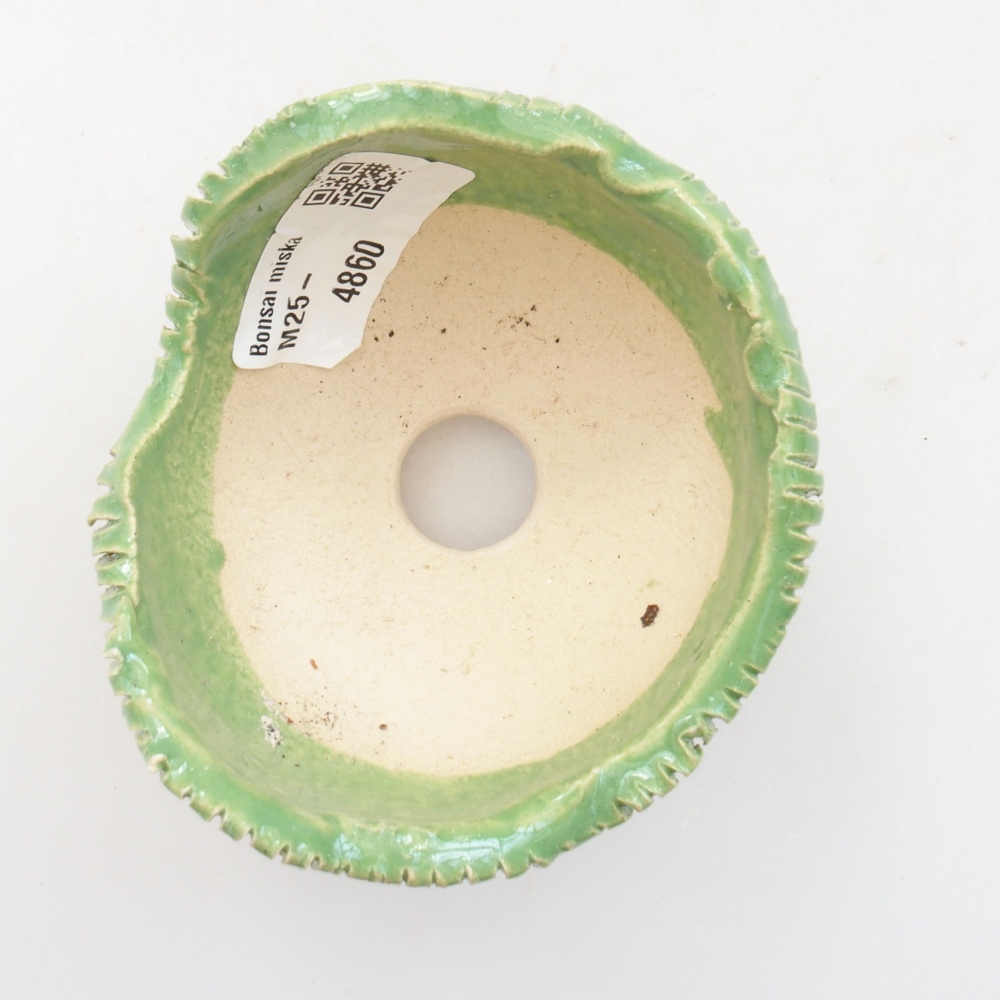 Conchiglia in ceramica 7,5 x 7,5 x 5,5 cm , colore verde