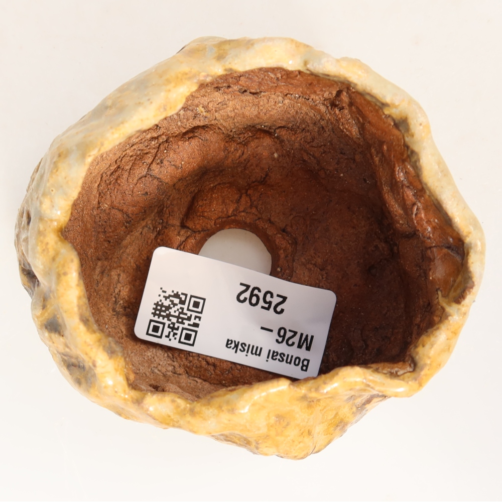 Conchiglia in ceramica 7,5 x 7 x 6 cm , colore marrone