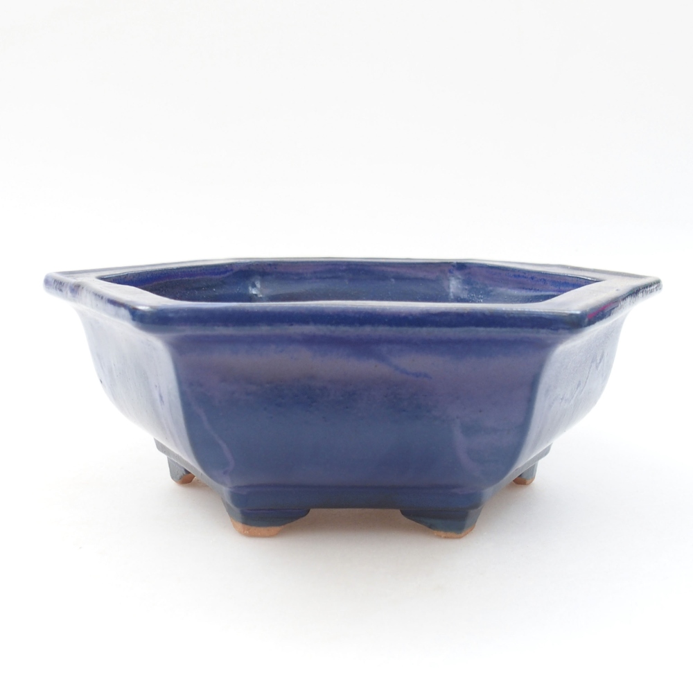 Ciotola bonsai in ceramica 22 x 17 x 5 cm, verde