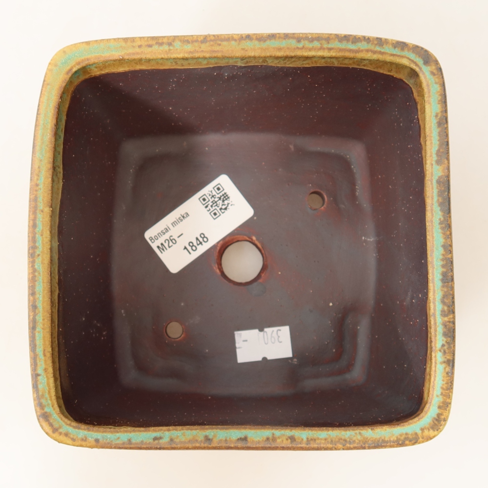 Ciotola bonsai in ceramica 13 x 13 x 8 cm, verde