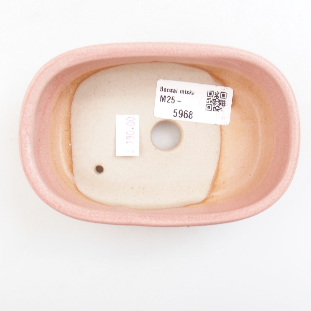 Ciotola bonsai in ceramica 22 x 17 x 5 cm, verde