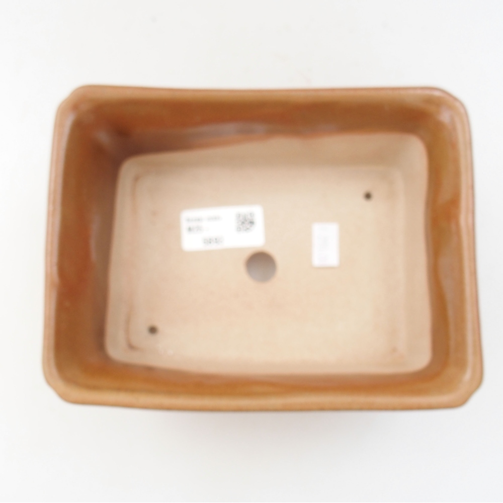 Ciotola bonsai in ceramica 22 x 17 x 5 cm, verde