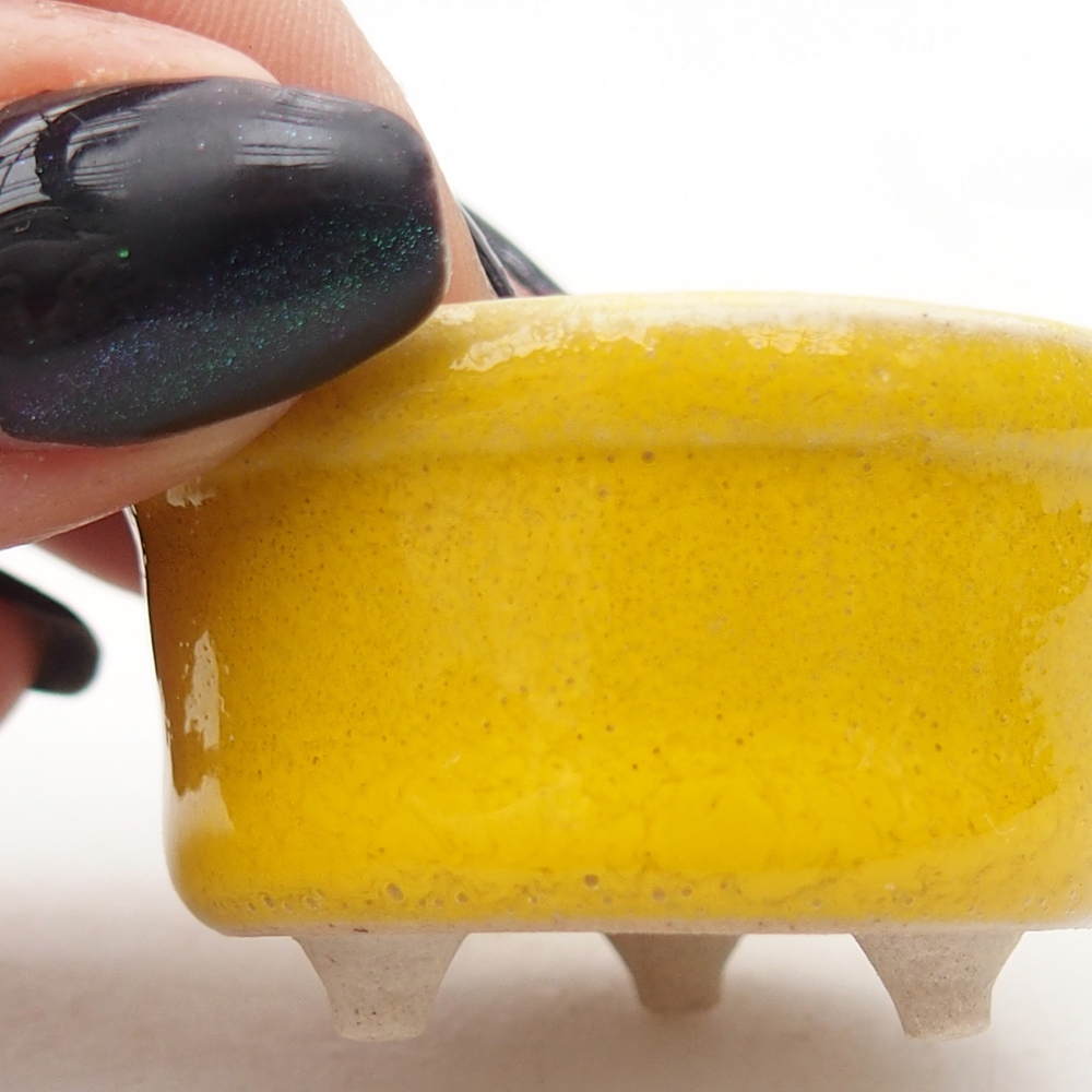 Mini bonsai 4 x 4 x 2,5 cm, giallo