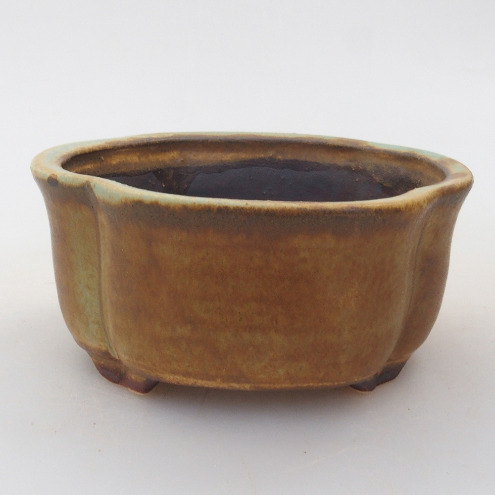 Ciotola per bonsai in ceramica 10 x 8,5 x 4 cm, marrone