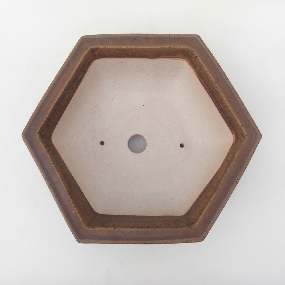 Ciotola per bonsai H53 - 19 x 21,5 x 7 cm - marrone