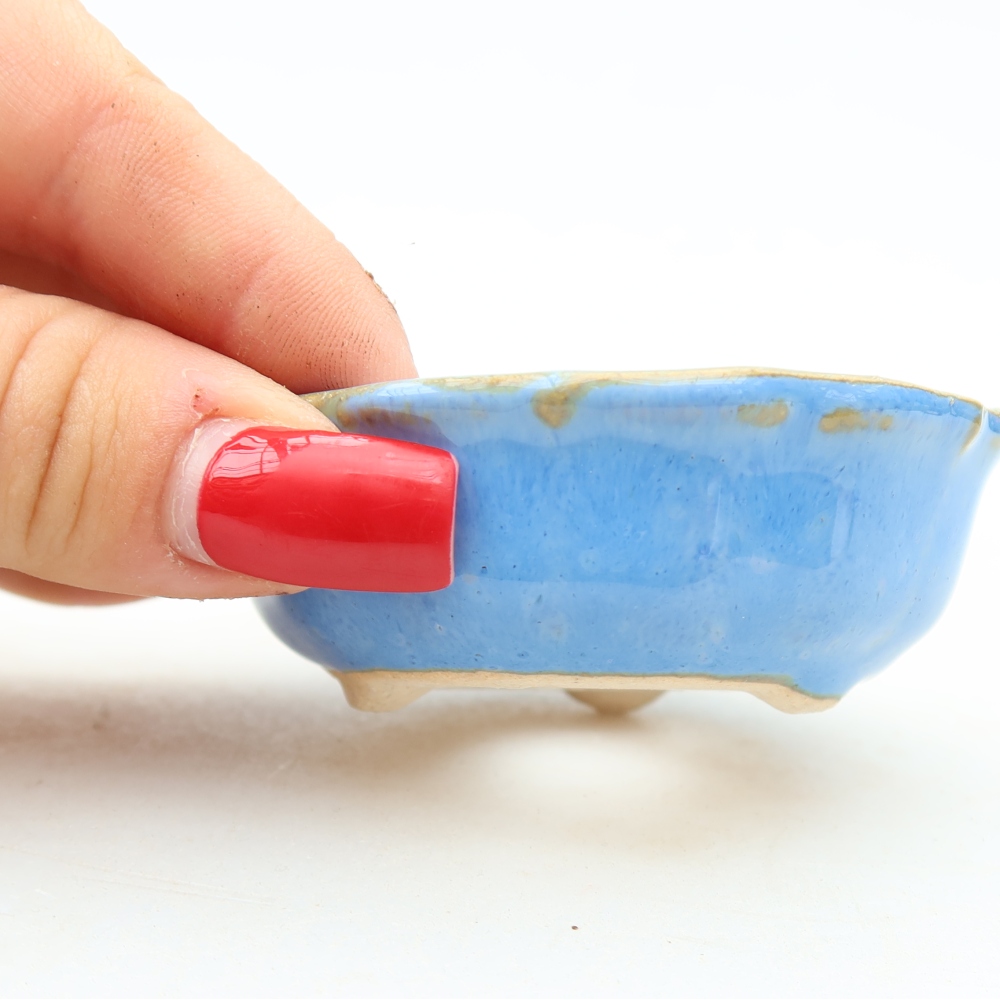 Vaso da bonsai in ceramica 7 x 7 x 2,5 cm, colore blu