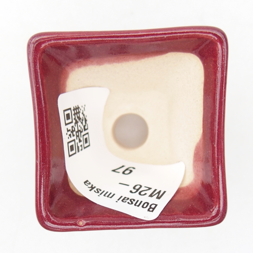 Mini bonsai 4 x 4 x 3,5 cm, bordeaux