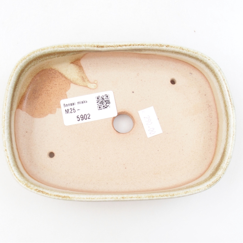 Ciotola bonsai in ceramica 22 x 17 x 5 cm, verde