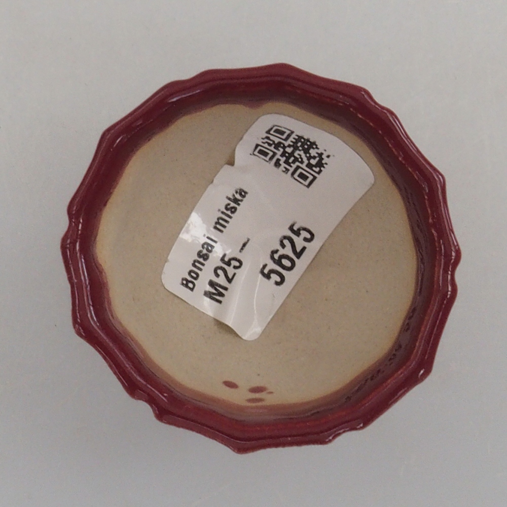 Ciotola per mini bonsai 5 x 5 x 3 cm, bordeaux