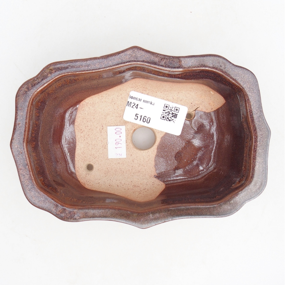 Ciotola per bonsai in ceramica 15,5 x 11,5 x 4,5 cm, marrone