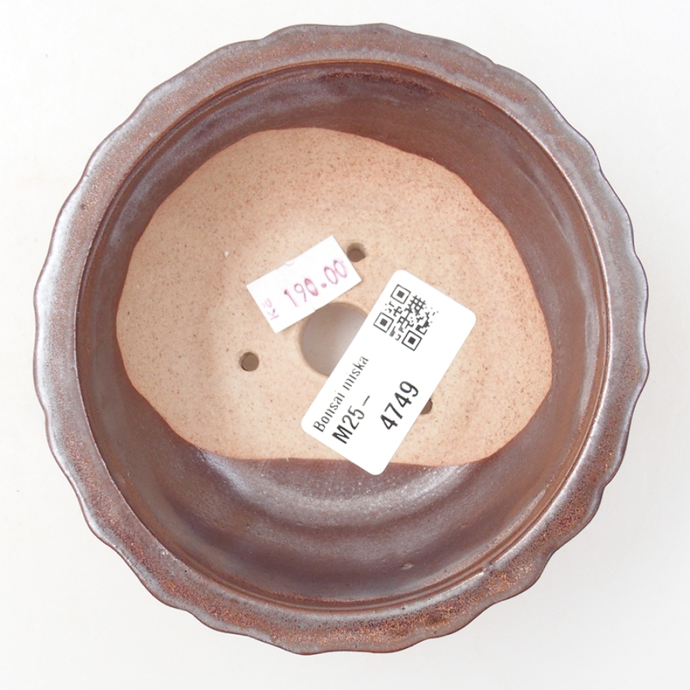 Ciotola per bonsai in ceramica 11 x 11 x 5 cm, marrone